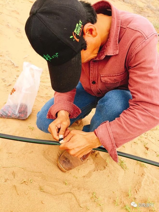 步行者队员分享训练中的感动和收获